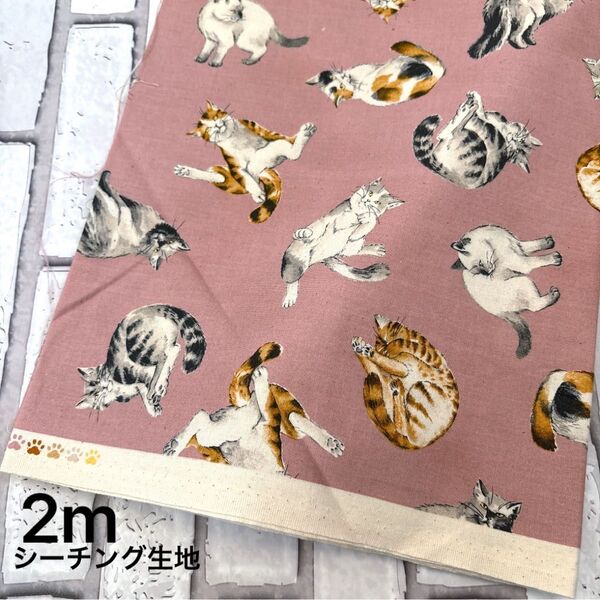 シーチング生地 猫 2m