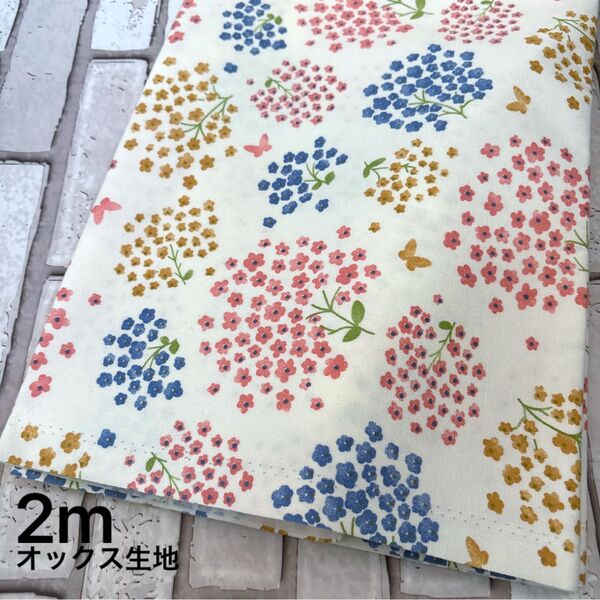 オックス生地 花柄 蝶々 2m