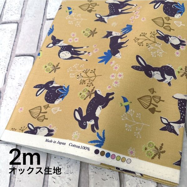 オックス生地 動物 くすみイエロー 2m