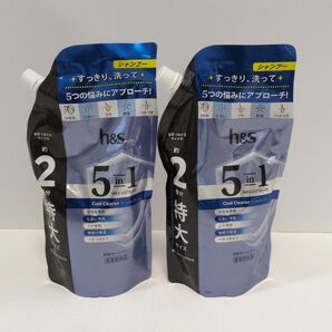 h&s 5in1 クールクレンズ シャンプー 特大詰替 560g×2袋