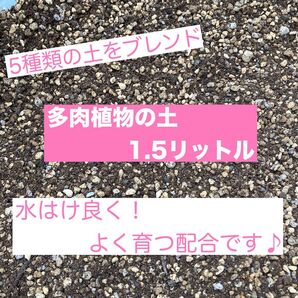 ☆我が家の多肉植物の土☆ 5種類の土をブレンド♪ 水はけ良く、良く育つブレンドです^^ ★6cm黒ポット約18杯分です★