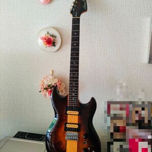 連休前特価..!aria pro Ⅱ TS-500