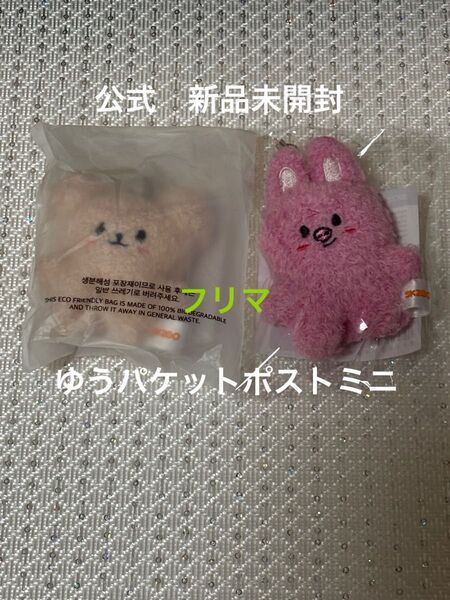 スンミン チャンビン マイクロキーリングstray kids skzoo