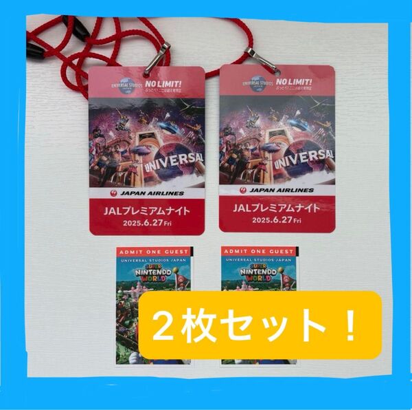 USJ JALプレミアム貸切ナイトチケット 6/27入場可〈2名分〉