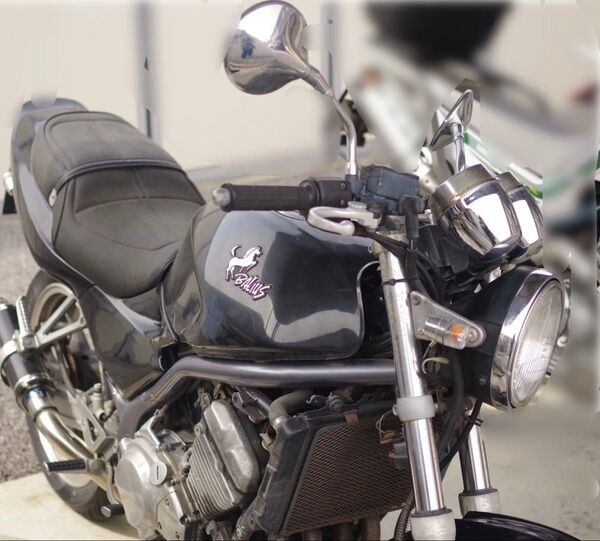 Kawasaki カワサキ BALIUS バリオス1型