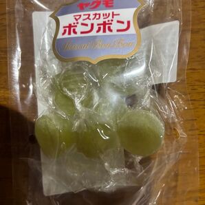 マスカットボンボン 八雲製菓 シャインマスカットボンボン
