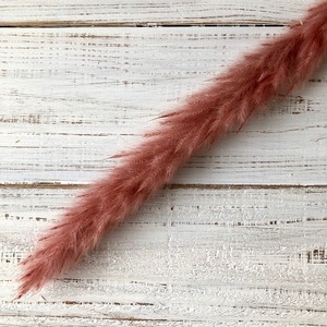  tail Lead 1 pcs antique pink dry flower material for flower arrangement that way interior .swag photographing properties etc. 