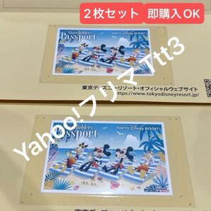 【即購入OK/在庫限り】東京ディズニーリゾート ペア