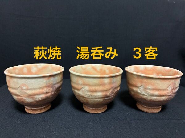 萩焼 湯呑み 3客セット