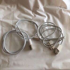 2本セット 新品 純正 dockケーブル 1m 旧型 iPhone iPad iPod 用充電ケーブル 充電器