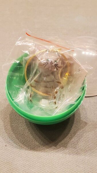 うちの子のけだまだま キジトラ キズあり