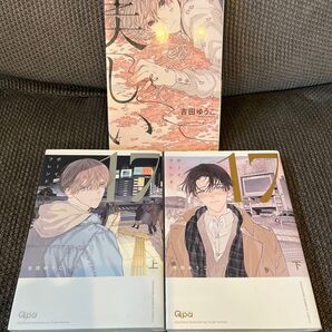 ●即購入不可● ボーイフレンド17 上下巻/美しい / 吉田ゆうこ BL