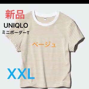 最終価格 新品 ユニクロ レディース ミニT ボーダー T半袖 XXL 31ベージュ 未使用 定価1,500円 即日発送