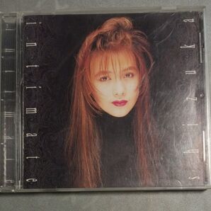 工藤静香 Intimate