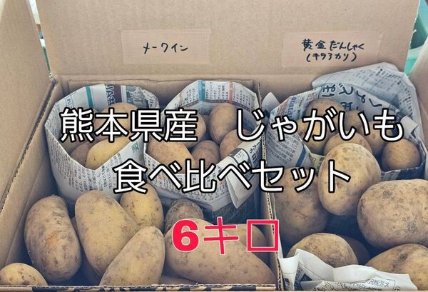 熊本県産 じゃがいも メークイン 黄金男爵(キタアカリ) 食べ比べセット