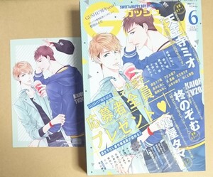 雑誌　【　GUSH　2020年6月号　】　天王寺ミオ／ビッチな猫は秘密に尻尾をゆらす　柊のぞむ　鳩屋タマ　他　ガッシュ　イラストカード付き