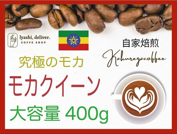 自家焙煎珈琲 究極のモカ誕生 エチオピア 400g 珈琲