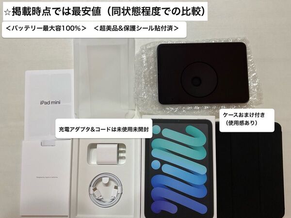 iPad mini7 グレー wifiモデル 256GB +ケースおまけ付