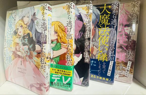 家から逃げ出したい私が、うっかり憧れの大魔法使い様を買ってしまったら 1〜5巻セット