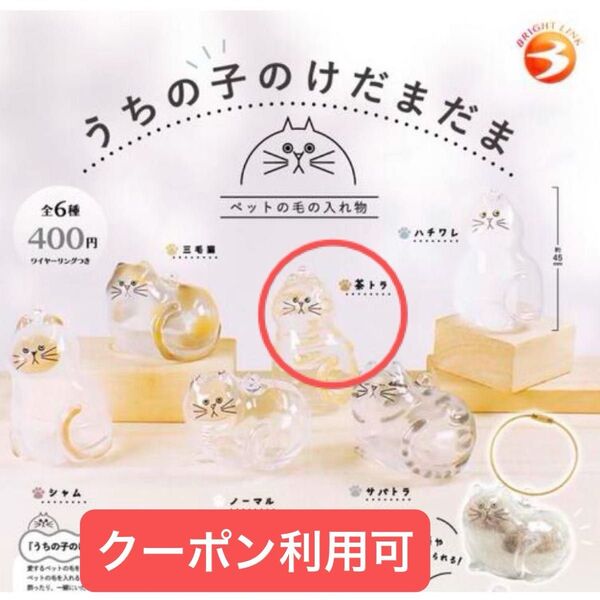 うちの子のけだまだま ガチャ 茶とら