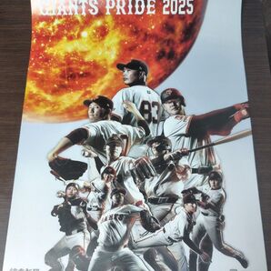 読売新聞 GIANTS PRIDE 2025 4月始まりカレンダー