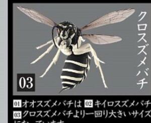 未開封 スズメバチ 全長150mm 全高200mm クロスズメバチ 1点 巨大 ガチャポン ガシャ プラモデル? 人気品 検 ダンゴム ダイオウ ヘラクレス