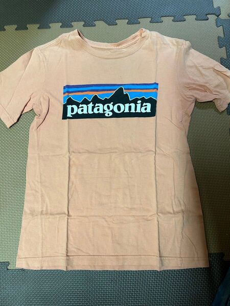 patagonia Tシャツ s