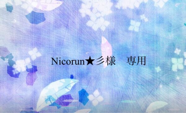 Nicorun★彡様 専用 サンキャッチャー3点