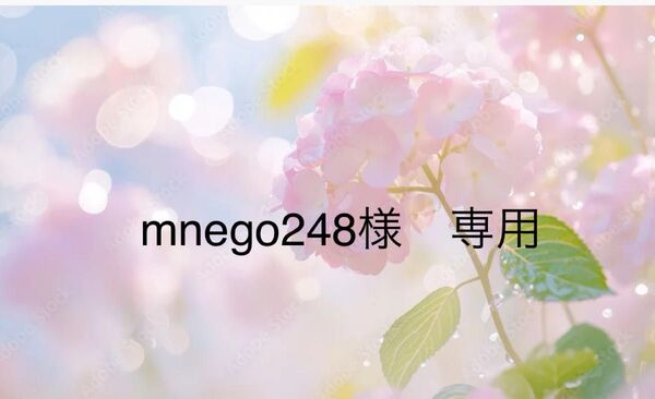 mnego248様 専用 チャーム2点&サンキャッチャー1点