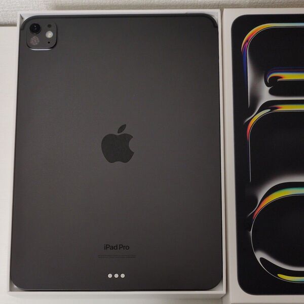 iPad Pro 11インチ M4 Wi-Fi 256GB 標準ガラス搭載 スペースブラック 2024年モデル 本体のみ