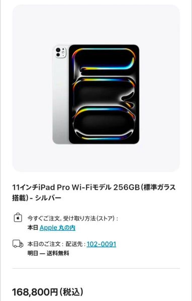 【未使用品】iPad Pro 11インチ M4 Wi-Fi 256GB 標準ガラス搭載 シルバー 2024年モデル