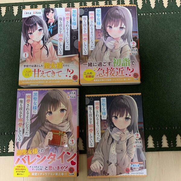 黒聖女様に溺愛されるようになった俺も彼女を溺愛している 1〜3 (HJ文庫 ときたま/著