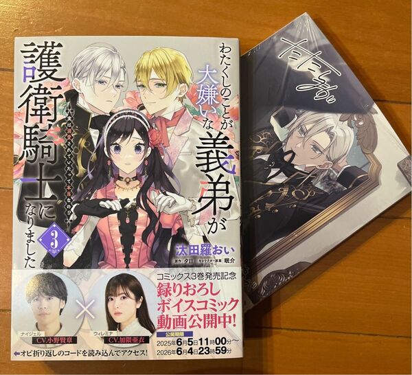 特典付 わたくしのことが大嫌いな義弟が護衛騎士になりました 実は溺愛されていたって本当なの!? 3巻