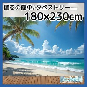 【特大】 タペストリー 背景布 ビーチ 南国 バカンス インテリア S44f