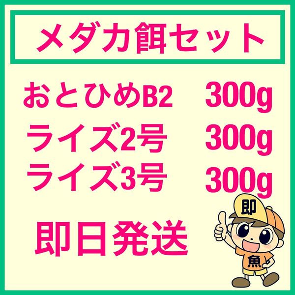 お得なメダカ餌セット 各300gづつ合計900g おとひめB2 ライズ2号 ライズ3号