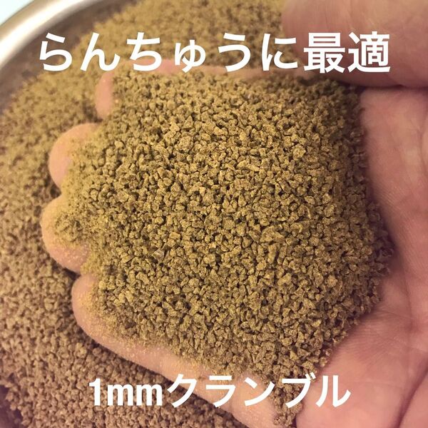 らんちゅうに最適 1㎜クランブル餌 500g入り 沈下性 金魚 錦鯉 小型魚に有効な餌です