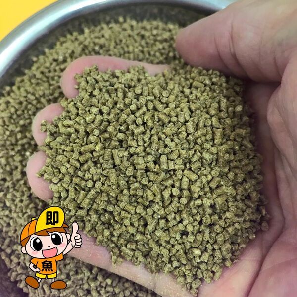 お得です 2㎜ペレット 1700g入り らんちゅう 土佐金に最適な餌 粉やクズの少ない高品質な餌 消化吸収の良い餌です 沈下性