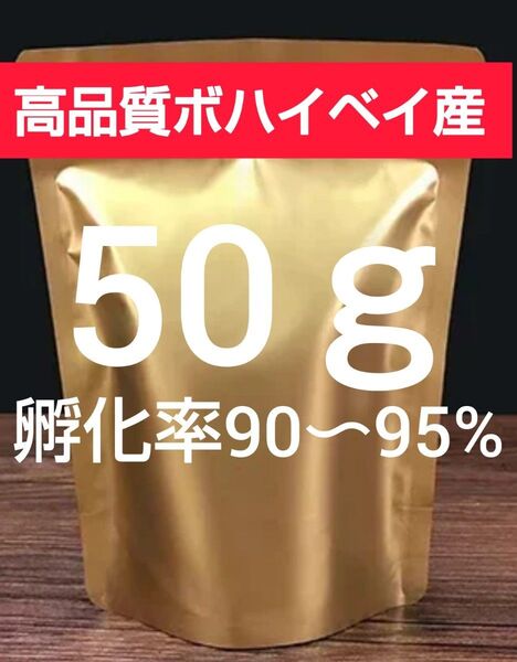 【高品質ボハイベイ産 孵化率90〜95% 24時間孵化 微細卵】ブラインシュリンプエッグ 50g