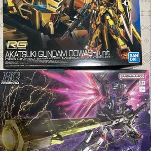 本日まで【2個セット】RG アカツキガンダム HG デスティニーガンダム ゼウスシルエット 水転写デカール付属