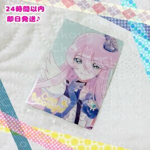 【新品未開封】プリキュアウエハース10 キュアムーンライト【※商品詳細必読】