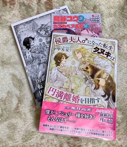 BL小説 「侯爵夫人♂になったタヌキは円満離婚を目指す」 小中大豆
