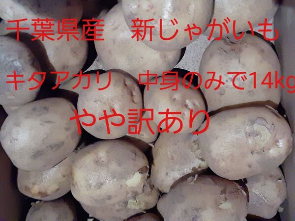 千葉県産 じゃがいも 中身のみで約8kg 新じゃが キタアカリ やや訳あり 減農薬栽培