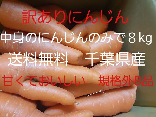 訳有にんじん 8kg B品 フルーツにんじん ニンジン 人参 規格外 割れ カット部分 ヒビ 二股等あり 減農薬栽培 千葉県産