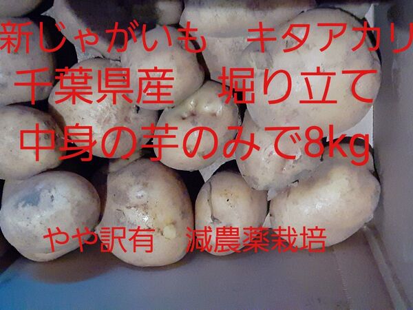 千葉県産 じゃがいも 中身のみで約8kg 新じゃが キタアカリ やや訳あり 減農薬栽培