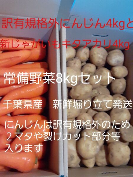 千葉県産 新じゃがいもキタアカリと訳有にんじん 常備野菜セット 中身のみで計8kg 堀り立て