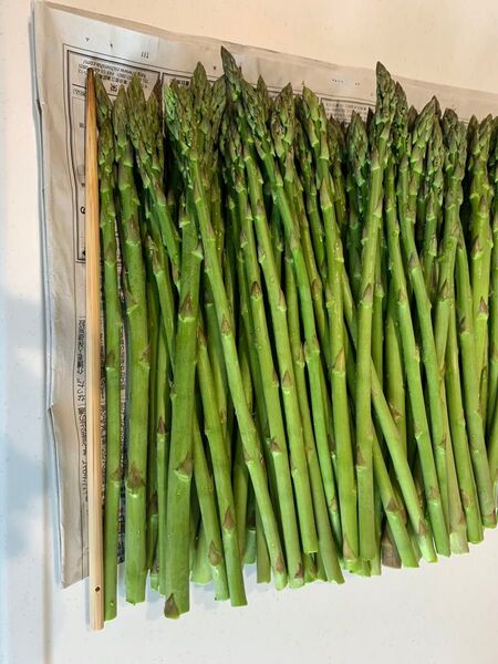 山形県産アスパラガス 無農薬 (S〜Mサイズ) 1.5kg