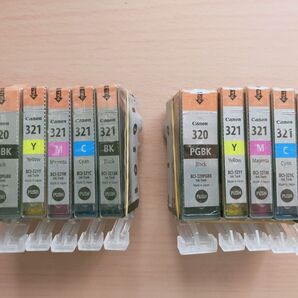 キャノン純正インク BCI-321 BCI-320 5色×2