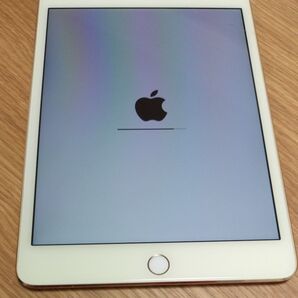 iPad mini 4 WiFi+Cellular A1550 16GB SIMフリー