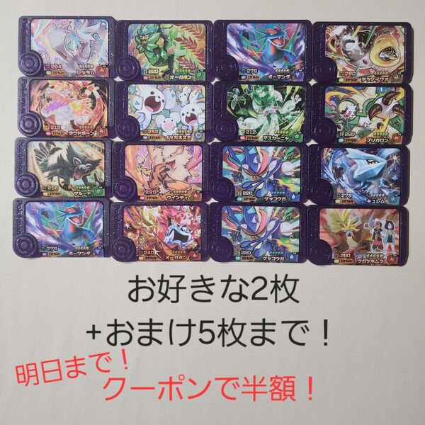 ポケモンフレンダ選べる2枚セット