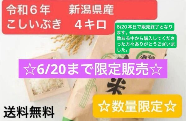 令和6年産 こしいぶき 米 4kg 新潟県 玄米 農家直送 《数量限定》☆ 期間限定出品